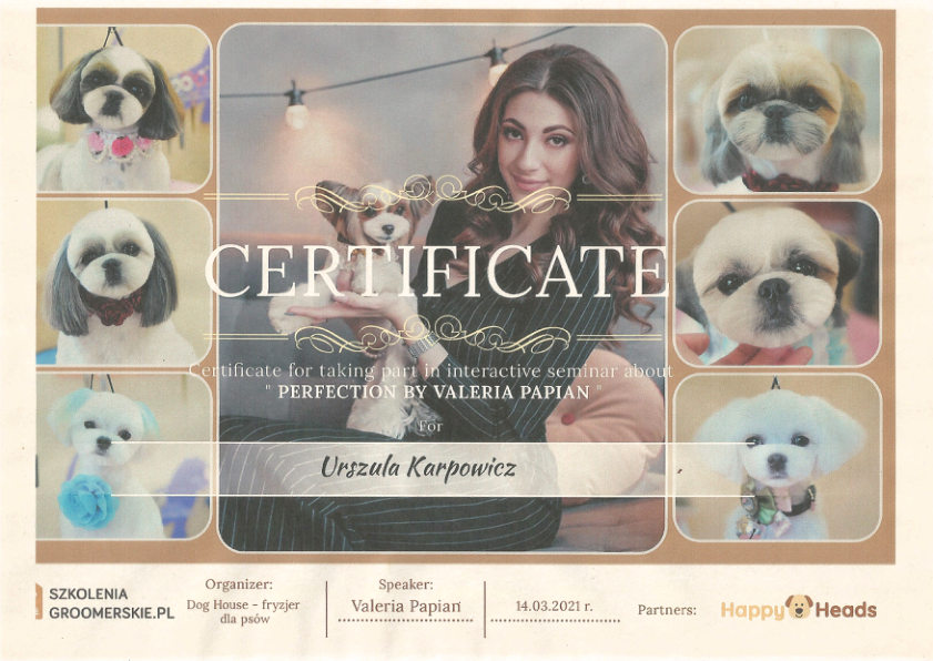 Perfection by Valeria Papian 2021